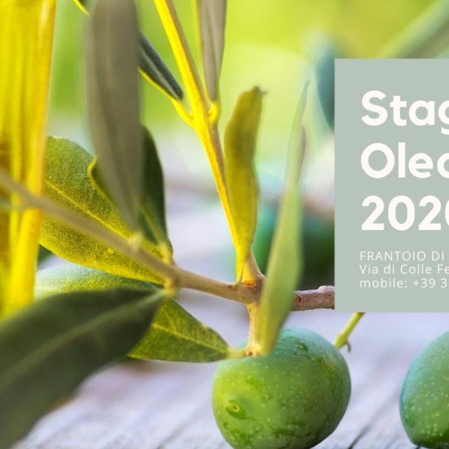 Stagione Olearia 2020