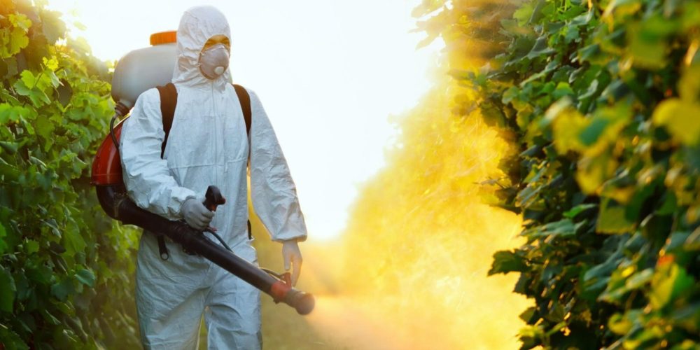 17° corso online per il patentino prodotti fitosanitari – 2021